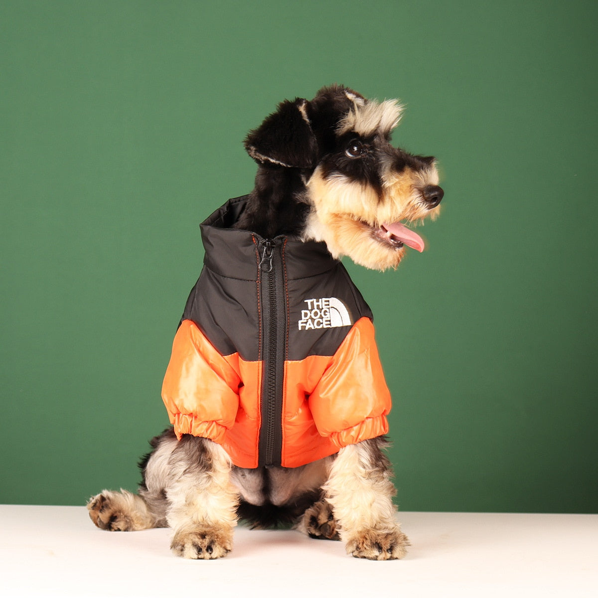 Windproof Jacket for Dogs