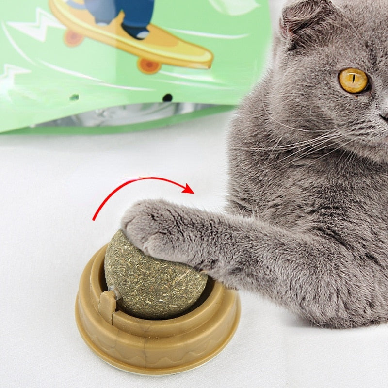 Natural Catnip Cat Wall Stick-on Ball